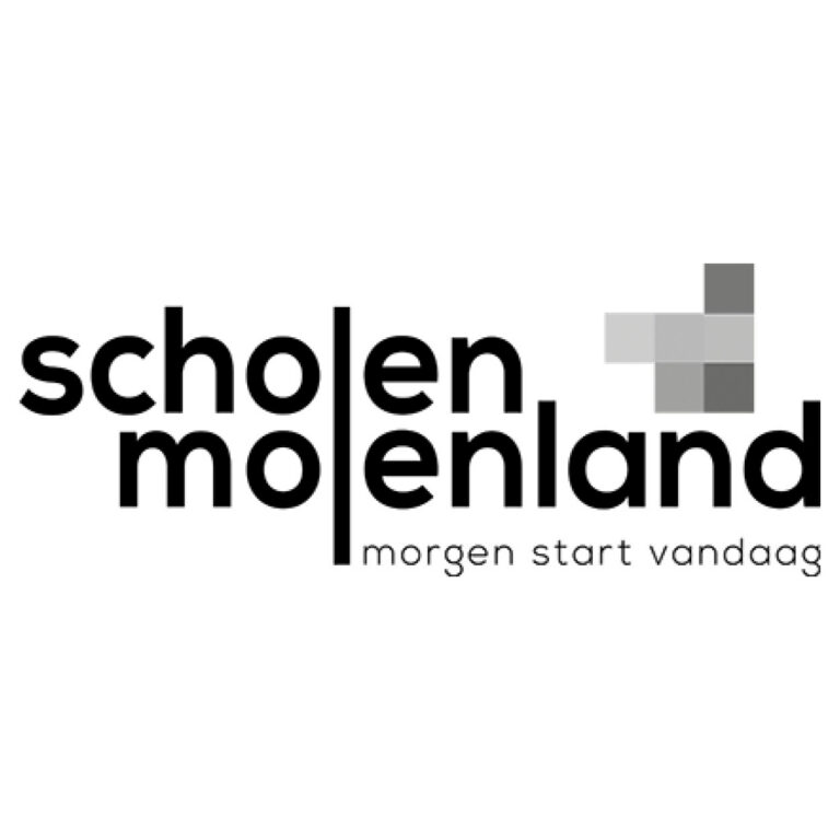 Scholen_molenland